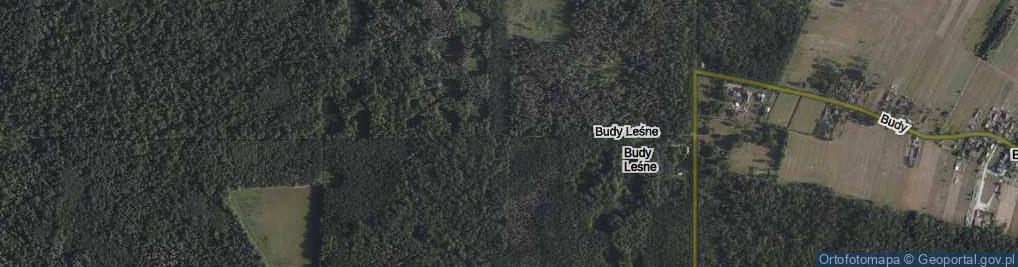 Zdjęcie satelitarne Budy Leśne ul.